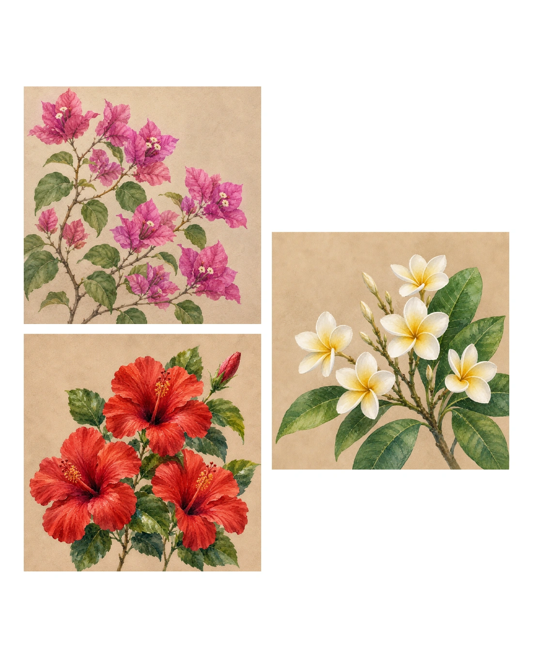 Tropical Garden Blooms – Floral Triptych Set